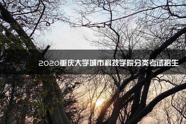 2020重庆大学城市科技学院分类考试招生计划及专业
