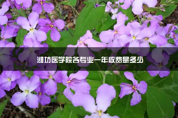 潍坊医学院各专业一年收费是多少