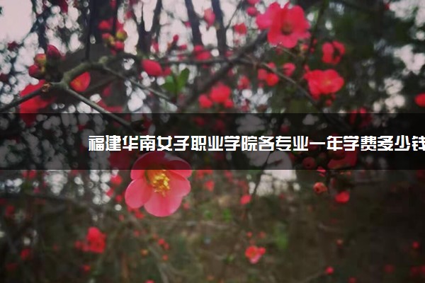 福建华南女子职业学院各专业一年学费多少钱