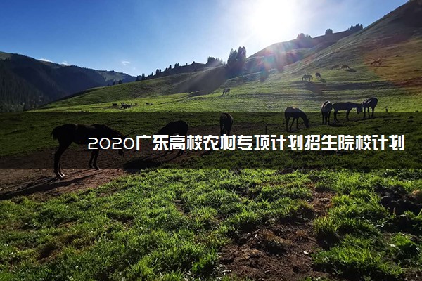 2020广东高校农村专项计划招生院校计划安排