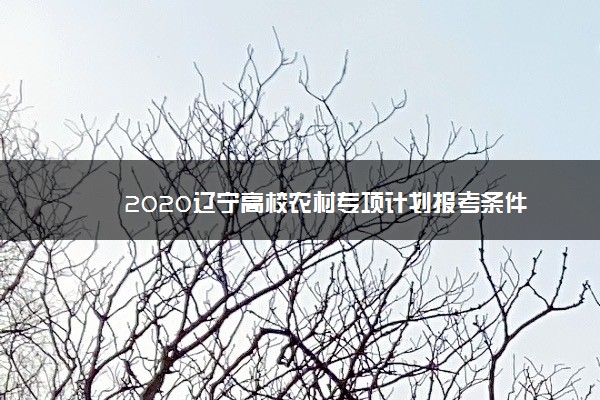 2020辽宁高校农村专项计划报考条件