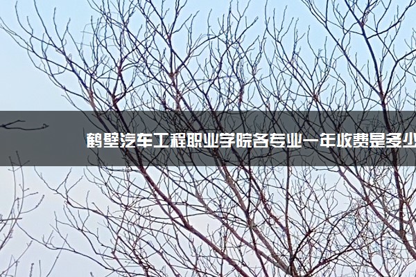 鹤壁汽车工程职业学院各专业一年收费是多少