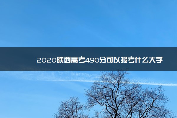 2020陕西高考490分可以报考什么大学