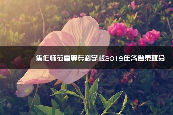 焦作师范高等专科学校2019年各省录取分数线详情