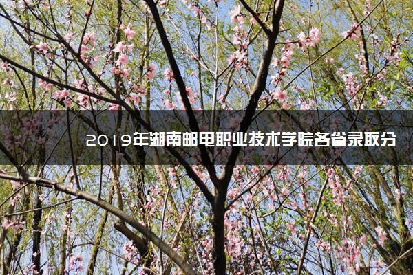 2019年湖南邮电职业技术学院各省录取分数线