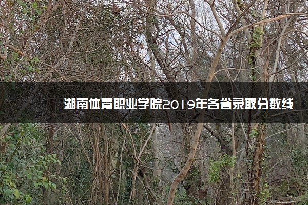 湖南体育职业学院2019年各省录取分数线详情