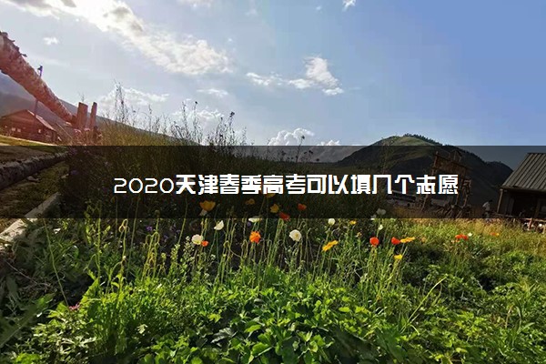 2020天津春季高考可以填几个志愿