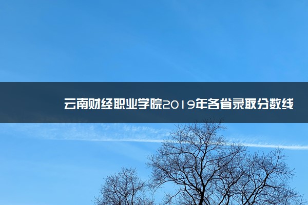 云南财经职业学院2019年各省录取分数线详情