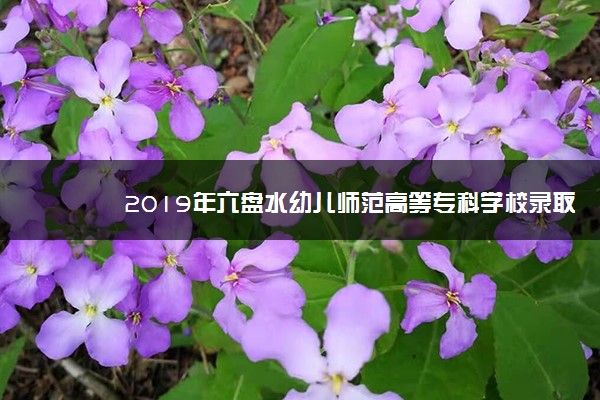 2019年六盘水幼儿师范高等专科学校录取分数线是多少