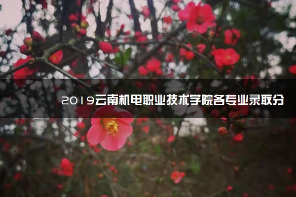 2019云南机电职业技术学院各专业录取分数线汇总