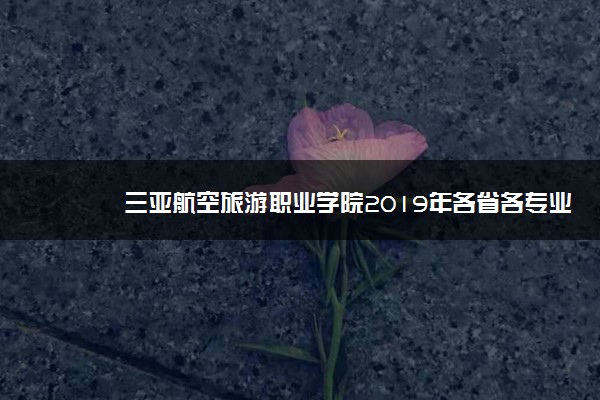 三亚航空旅游职业学院2019年各省各专业录取分数线