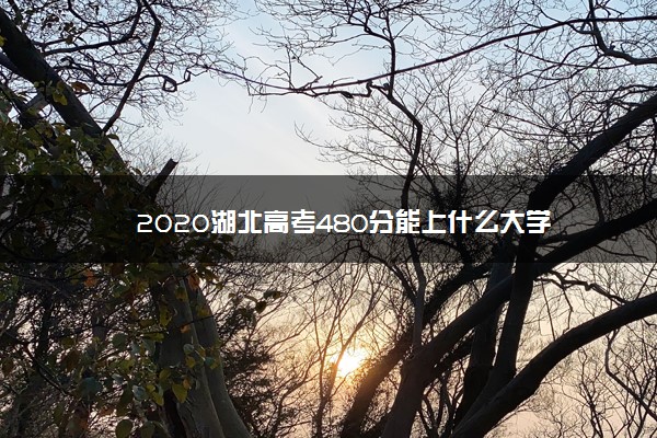 2020湖北高考480分能上什么大学