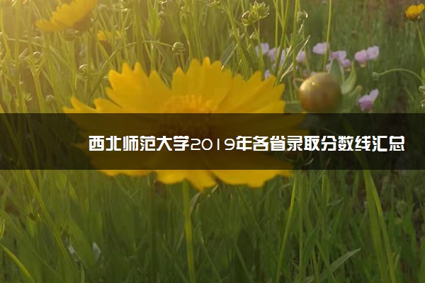 西北师范大学2019年各省录取分数线汇总