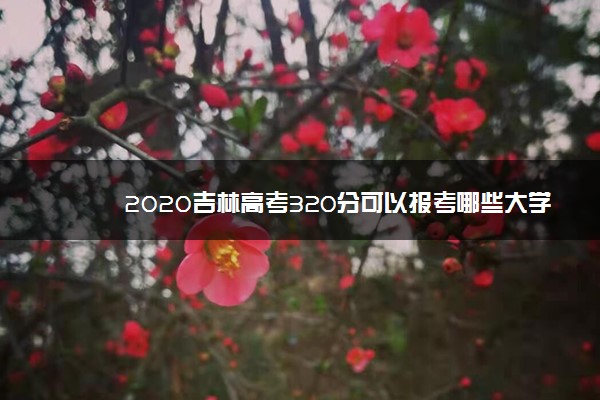 2020吉林高考320分可以报考哪些大学