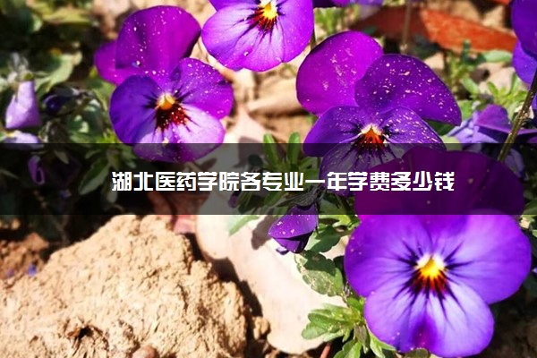 湖北医药学院各专业一年学费多少钱