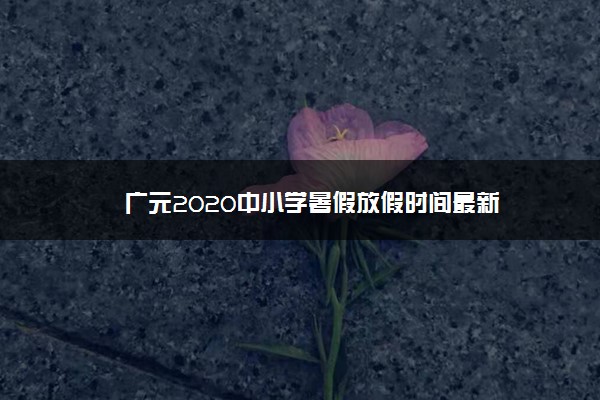 广元2020中小学暑假放假时间最新