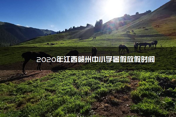 2020年江西赣州中小学暑假放假时间
