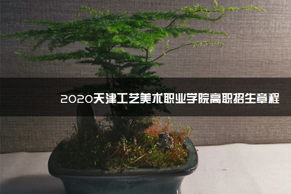 2020天津工艺美术职业学院高职招生章程