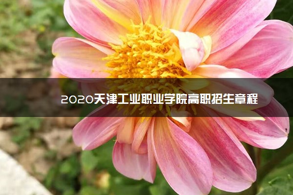 2020天津工业职业学院高职招生章程