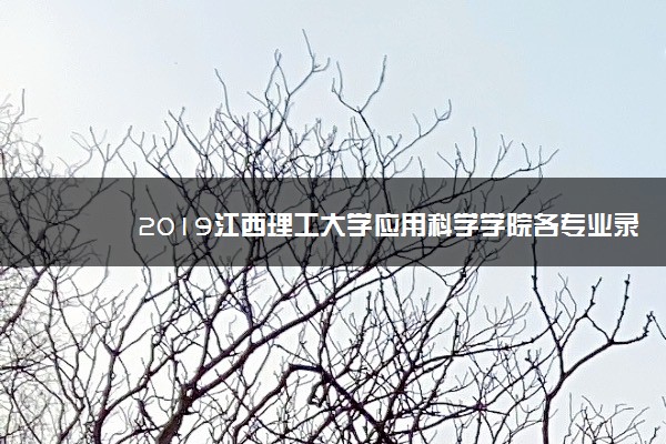 2019江西理工大学应用科学学院各专业录取分数线汇总