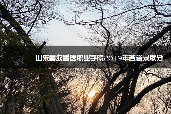 山东畜牧兽医职业学院2019年各省录取分数线汇总