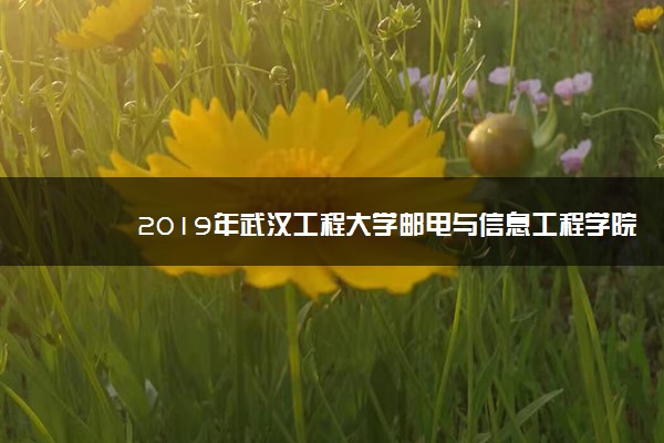 2019年武汉工程大学邮电与信息工程学院各专业录取分数线