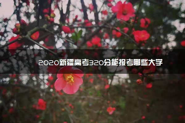 2020新疆高考320分能报考哪些大学