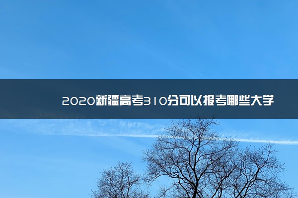 2020新疆高考310分可以报考哪些大学