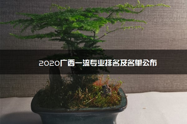 2020广西一流专业排名及名单公布