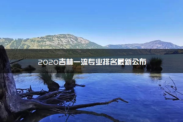 2020吉林一流专业排名最新公布