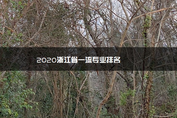 2020浙江省一流专业排名