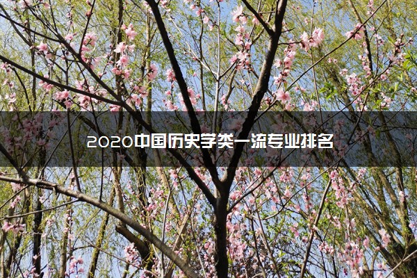 2020中国历史学类一流专业排名