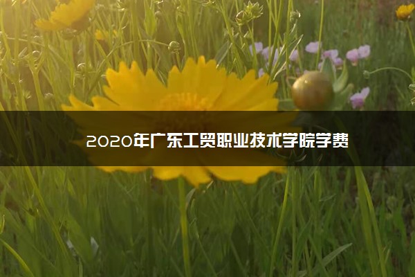 2020年广东工贸职业技术学院学费