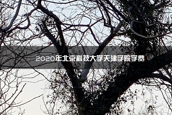 2020年北京科技大学天津学院学费