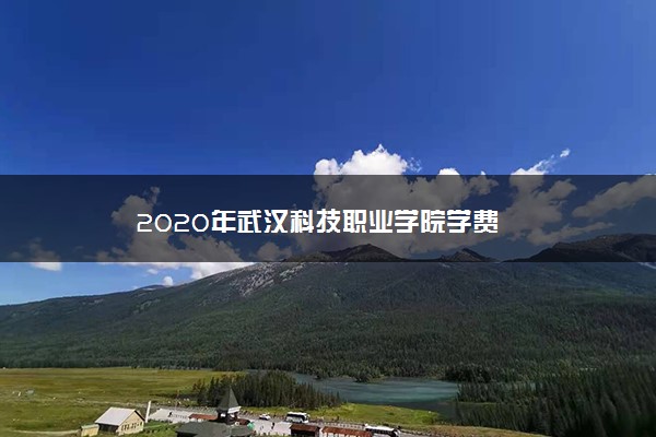 2020年武汉科技职业学院学费