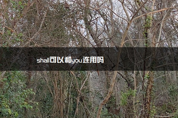 shall可以和you连用吗