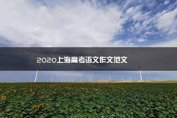2020上海高考语文作文范文