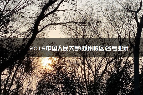2019中国人民大学(苏州校区)各专业录取分数线汇总