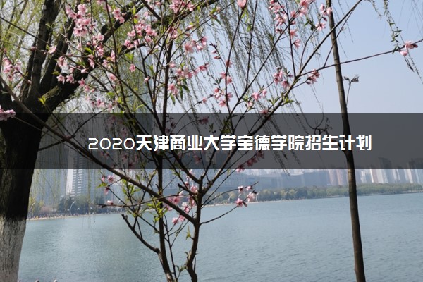 2020天津商业大学宝德学院招生计划