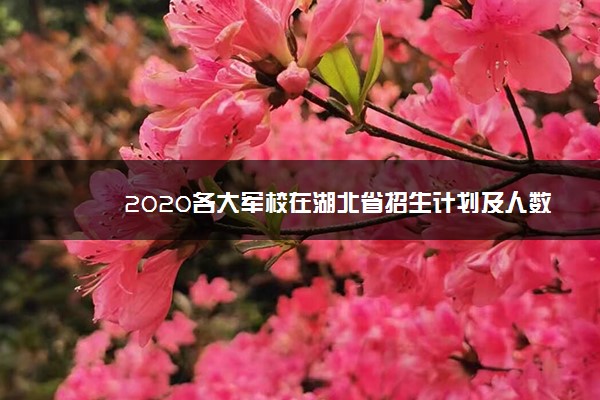 2020各大军校在湖北省招生计划及人数