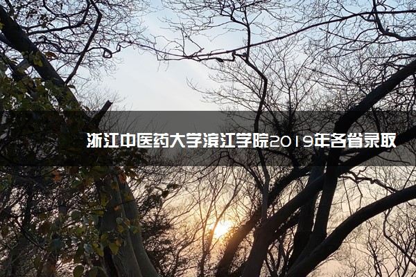 浙江中医药大学滨江学院2019年各省录取分数线汇总