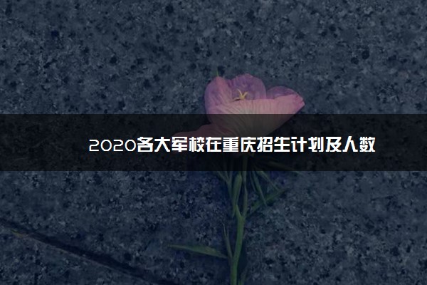 2020各大军校在重庆招生计划及人数