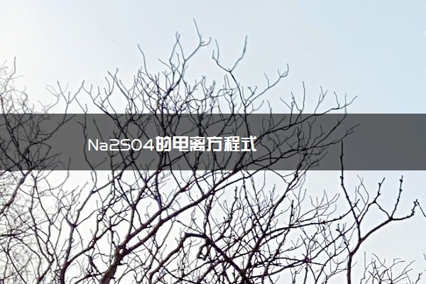 Na2SO4的电离方程式