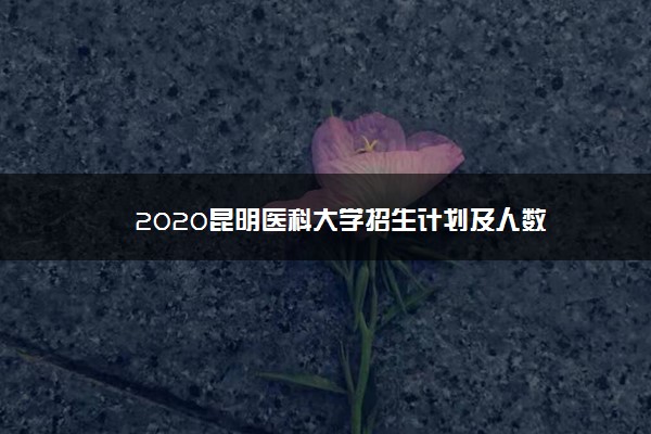 2020昆明医科大学招生计划及人数