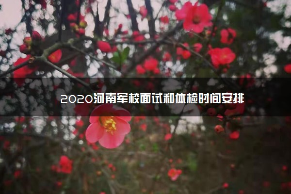 2020河南军校面试和体检时间安排