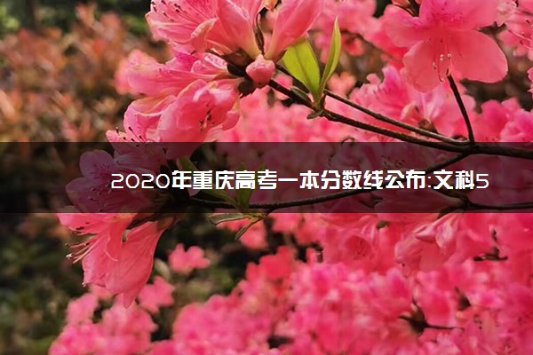 2020年重庆高考一本分数线公布：文科536分 理科500分