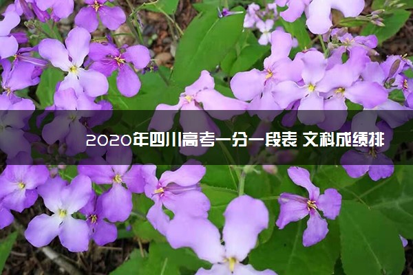 2020年四川高考一分一段表 文科成绩排名【最新公布】
