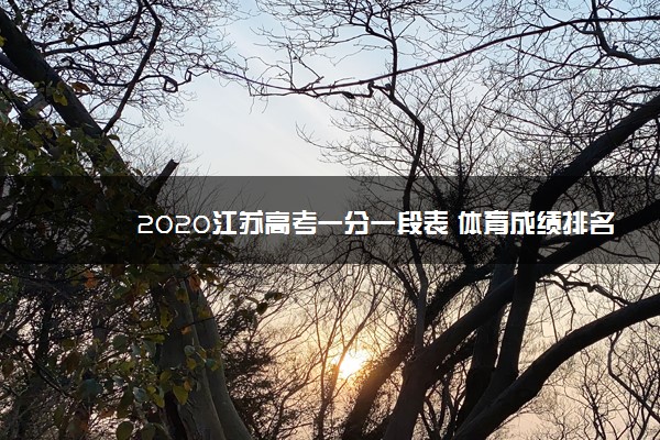2020江苏高考一分一段表 体育成绩排名【已公布】