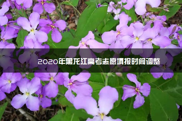 2020年黑龙江高考志愿填报时间调整