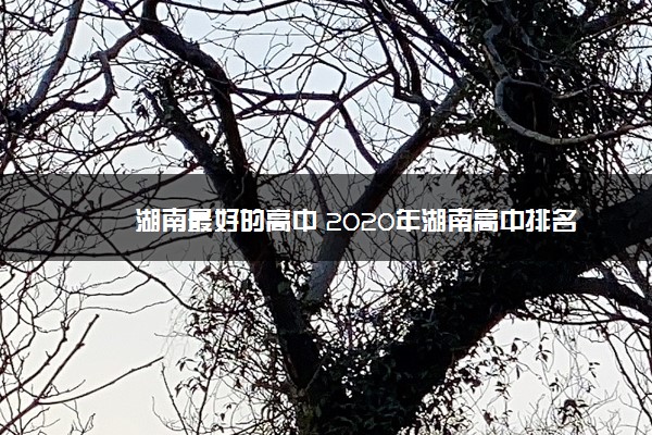 湖南最好的高中 2020年湖南高中排名